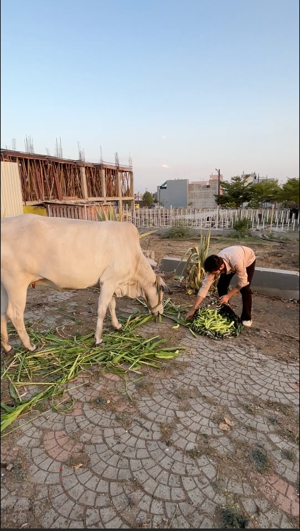 Water Seva